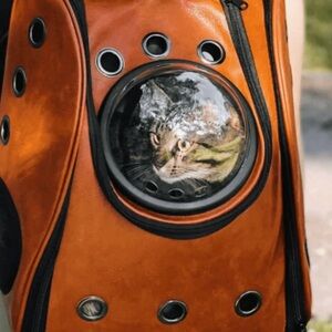 Cat Travel Backpack - Bubble View Window